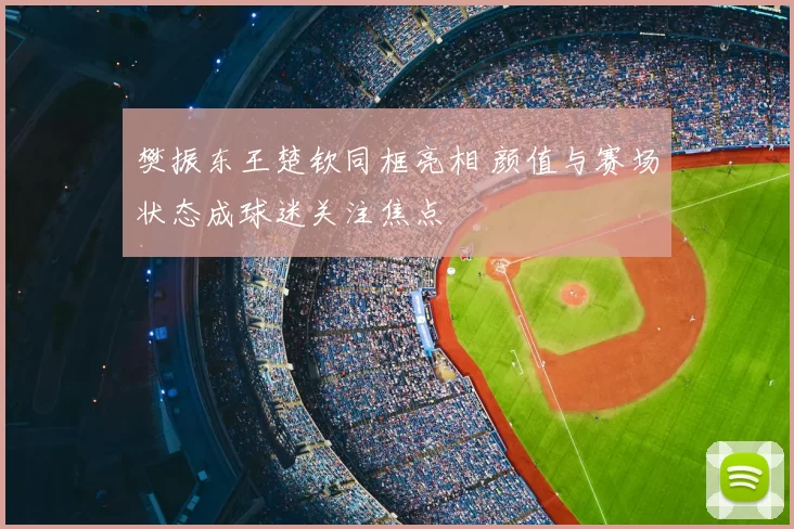 樊振东王楚钦同框亮相 颜值与赛场状态成球迷关注焦点