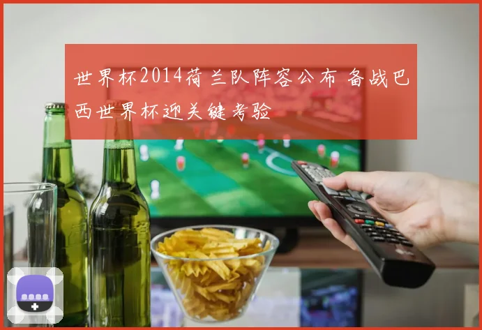 世界杯2014荷兰队阵容公布 备战巴西世界杯迎关键考验