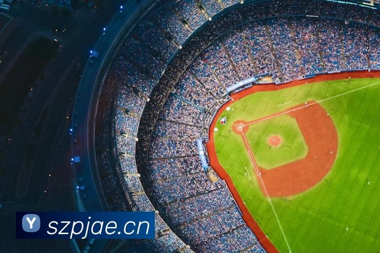 B体育·(B - sports)官方网站服务体系